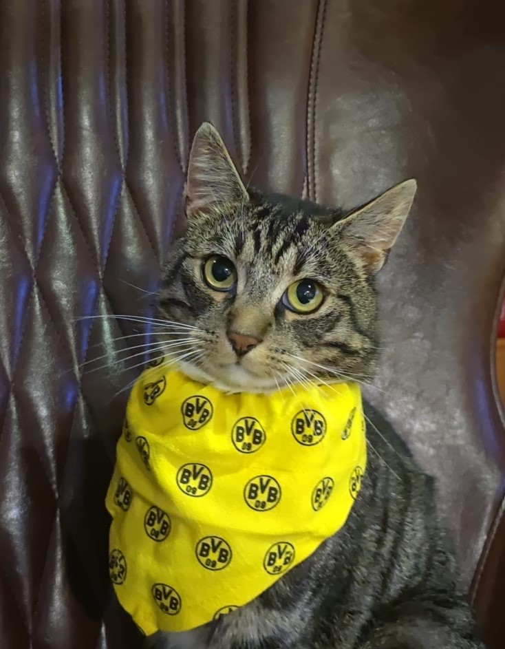 Felix